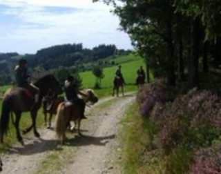 Equitazione a Chesny 